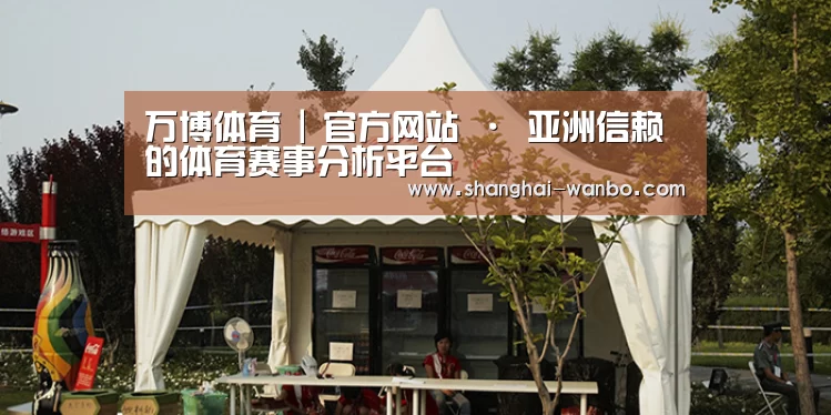 案例标题五
